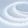 Лента светодиодная RT-A120-8mm 24V Cool 8K (9.6 W/m, IP20, 2835, 5m) (Arlight, Открытый)